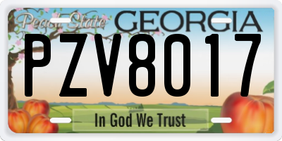 GA license plate PZV8017