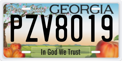 GA license plate PZV8019