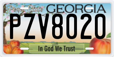 GA license plate PZV8020