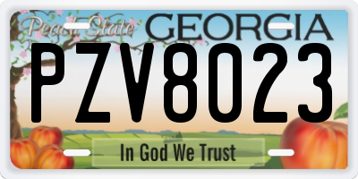 GA license plate PZV8023