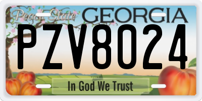 GA license plate PZV8024