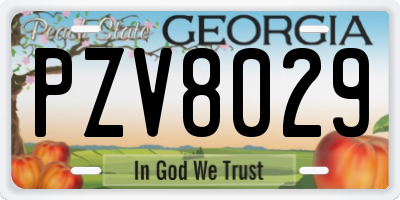 GA license plate PZV8029