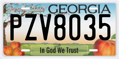 GA license plate PZV8035