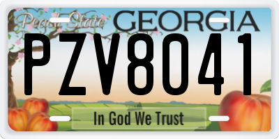 GA license plate PZV8041
