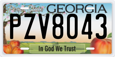 GA license plate PZV8043