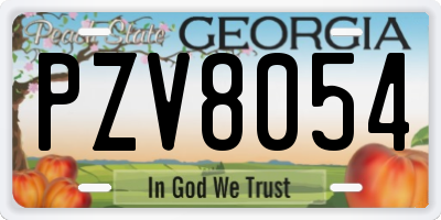 GA license plate PZV8054