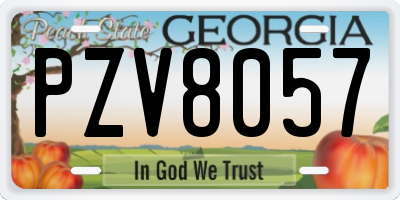 GA license plate PZV8057