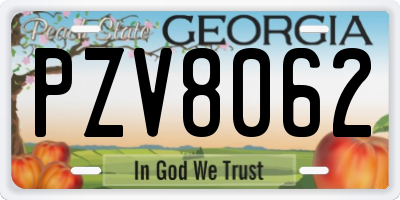GA license plate PZV8062