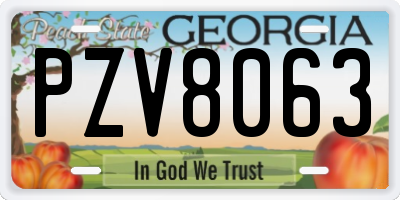 GA license plate PZV8063