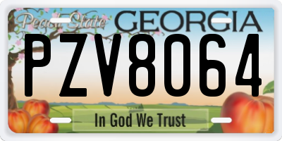 GA license plate PZV8064