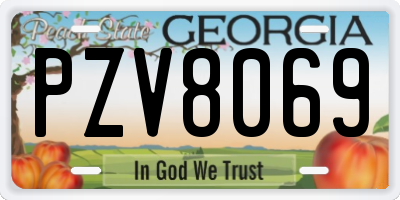 GA license plate PZV8069