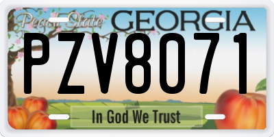 GA license plate PZV8071