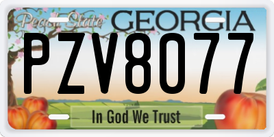 GA license plate PZV8077