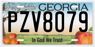 GA license plate PZV8079