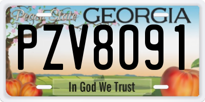 GA license plate PZV8091