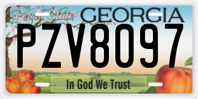 GA license plate PZV8097