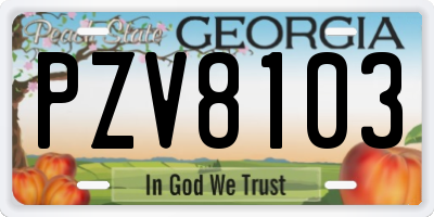 GA license plate PZV8103