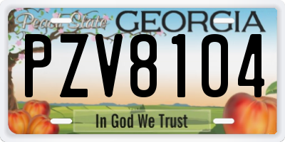 GA license plate PZV8104