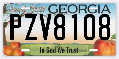 GA license plate PZV8108