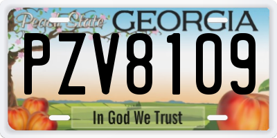 GA license plate PZV8109