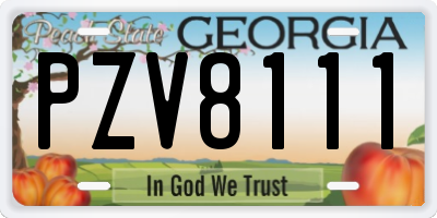 GA license plate PZV8111