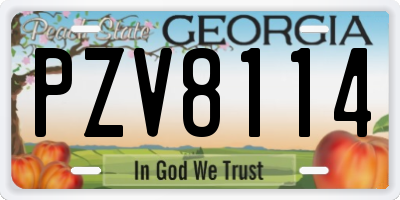 GA license plate PZV8114