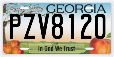 GA license plate PZV8120