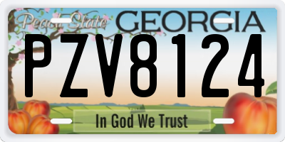 GA license plate PZV8124