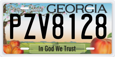 GA license plate PZV8128