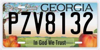 GA license plate PZV8132