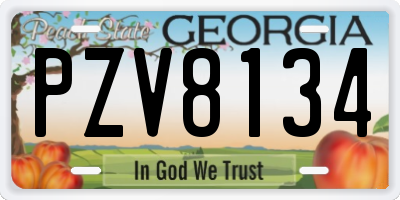 GA license plate PZV8134