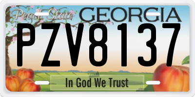 GA license plate PZV8137