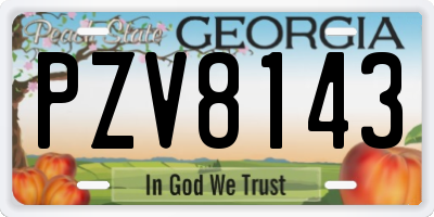 GA license plate PZV8143