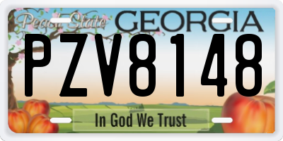 GA license plate PZV8148