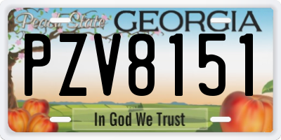 GA license plate PZV8151