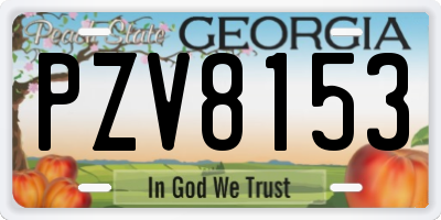 GA license plate PZV8153