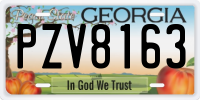 GA license plate PZV8163