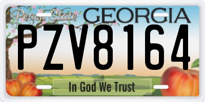GA license plate PZV8164