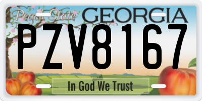 GA license plate PZV8167