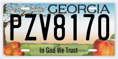 GA license plate PZV8170