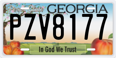GA license plate PZV8177