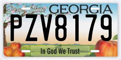 GA license plate PZV8179