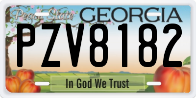 GA license plate PZV8182