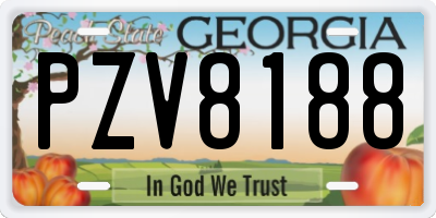 GA license plate PZV8188