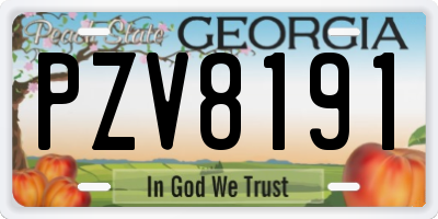 GA license plate PZV8191