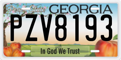 GA license plate PZV8193