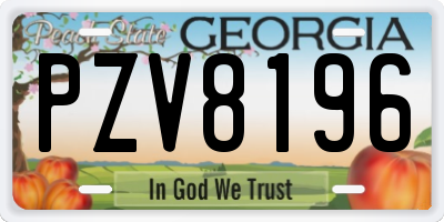 GA license plate PZV8196