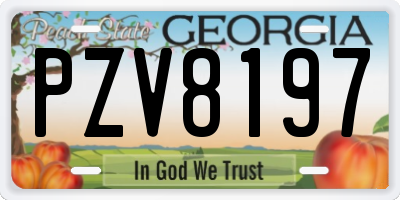 GA license plate PZV8197