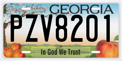GA license plate PZV8201