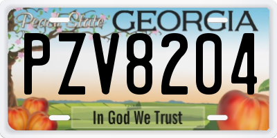 GA license plate PZV8204